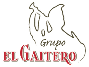 Grupo el Gaitero Valle, Ballina y Fernández, S.A.
