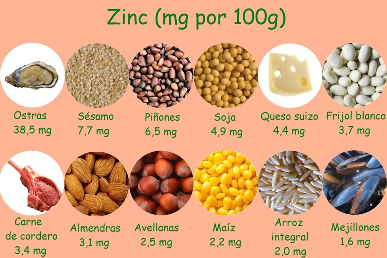 El Zinc Y Su Importancia En Nutrición Infantil / Jesús Fleta