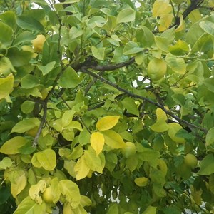 IMG_20161213_094437