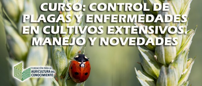 Paso Histérico calidad Curso de Control de plagas, enfermedades y malas hierbas en cultivos  extensivos. Manejo y novedades