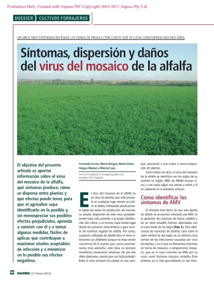 Síntomas, dispersión y daños del virus del mosaico de la alfalfa: un ...