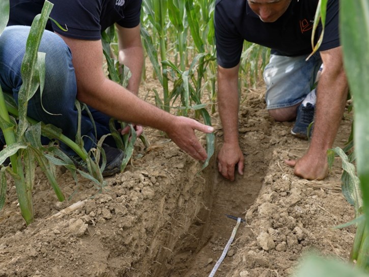 El Riego por Goteo Subterráneo transforma la producción de maíz: ahorro de  agua, energía, fertilizantes y mano de obra