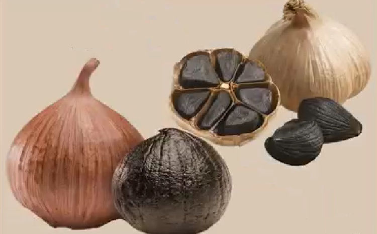 Cebolla y ajo negro: los aliados contra la diabetes, el colesterol y el  estrés oxidativo